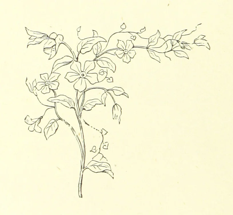 An illustration from Life Chords: comprising “Zenith,” “Loyal Responses,” and other poems. ... With ... illustrations by the Baroness H. von Cramm. [Edited by M. V. G. H., i.e. Maria V. G. Havergal, 1880, leaf 298