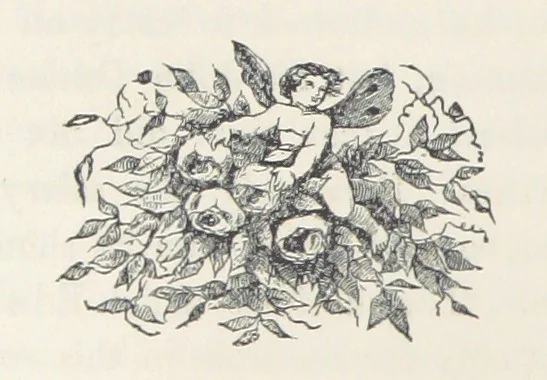 An illustration from The History of Ireland, ancient and modern. Derived from our native annals, from the most recent researches of eminent Irish Scholars. ... With copious topographical and general notes, 1860, leaf 322