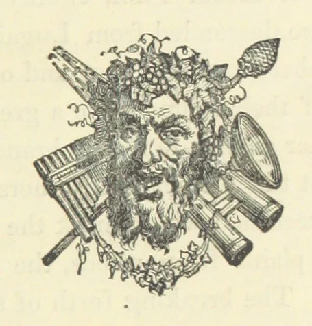 An illustration from The History of Ireland, ancient and modern. Derived from our native annals, from the most recent researches of eminent Irish Scholars. ... With copious topographical and general notes, 1860, leaf 41
