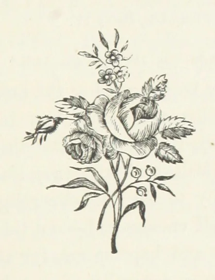 An illustration from The History of Ireland, ancient and modern. Derived from our native annals, from the most recent researches of eminent Irish Scholars. ... With copious topographical and general notes, 1860, leaf 513