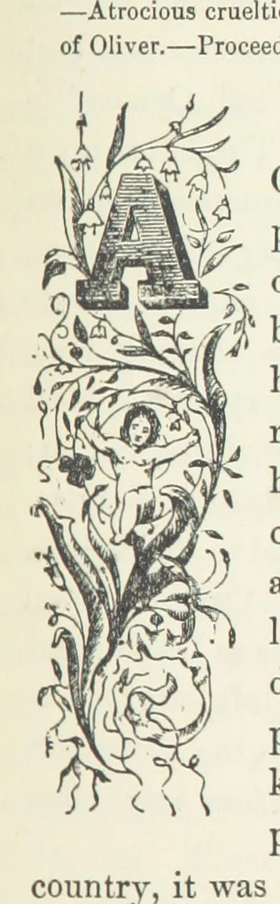 An illustration from The History of Ireland, ancient and modern. Derived from our native annals, from the most recent researches of eminent Irish Scholars. ... With copious topographical and general notes, 1860, leaf 591
