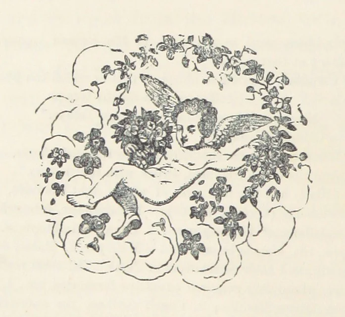 An illustration from The History of Ireland, ancient and modern. Derived from our native annals, from the most recent researches of eminent Irish Scholars. ... With copious topographical and general notes, 1860, leaf 64