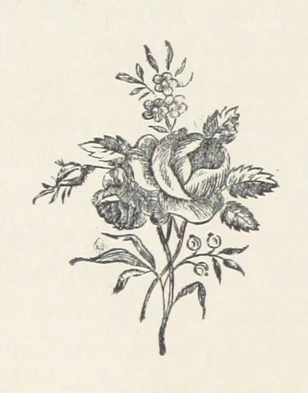 An illustration from The History of Ireland, ancient and modern. Derived from our native annals, from the most recent researches of eminent Irish Scholars. ... With copious topographical and general notes, 1860, leaf 72