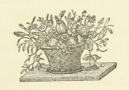 An illustration from The History of Ireland, ancient and modern. Derived from our native annals, from the most recent researches of eminent Irish Scholars. ... With copious topographical and general notes, 1860, leaf 735