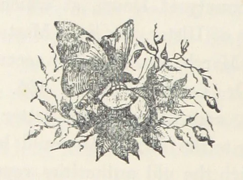 An illustration from The History of Ireland, ancient and modern. Derived from our native annals, from the most recent researches of eminent Irish Scholars. ... With copious topographical and general notes, 1860, leaf 92
