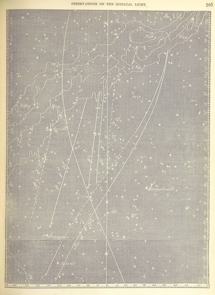 An illustration from Narrative of the Expedition of an American Squadron to the China Seas and Japan, performed in the years 1852, 1853 and 1854, under the command of Commodore M. C. Perry ... by order of the Government of the United States. Compiled from the original notes and journals of Commodore Perry and his officers ... by F. L. Hawks, etc. [With plates, including maps, 1856, leaf 315