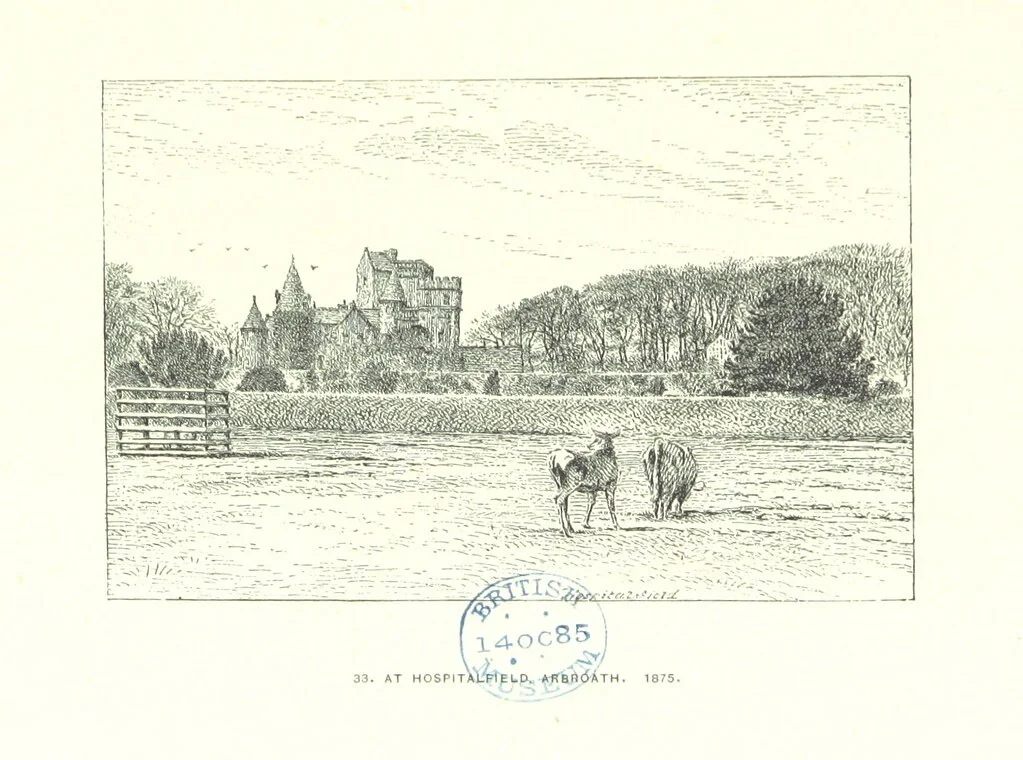 An illustration from Aberbrothock illustrated. Being the Round O etchings in miniature by John Adam. ... With ... notes by G. Hay, 1886, leaf 137
