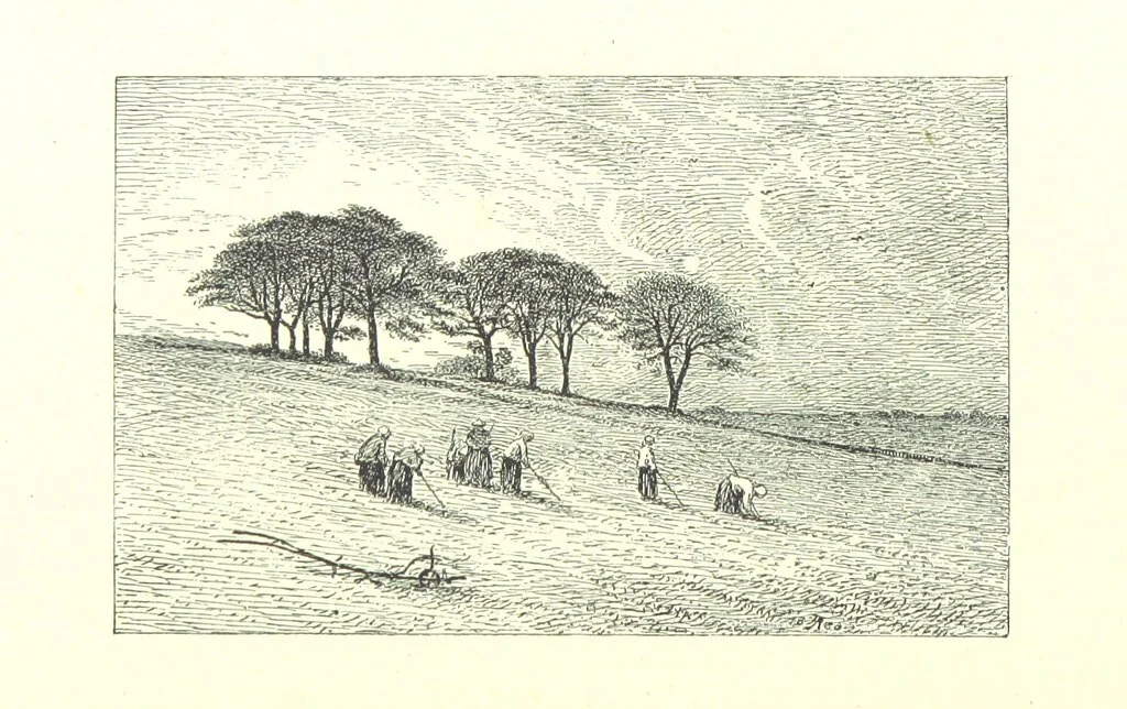 An illustration from Aberbrothock illustrated. Being the Round O etchings in miniature by John Adam. ... With ... notes by G. Hay, 1886, leaf 160