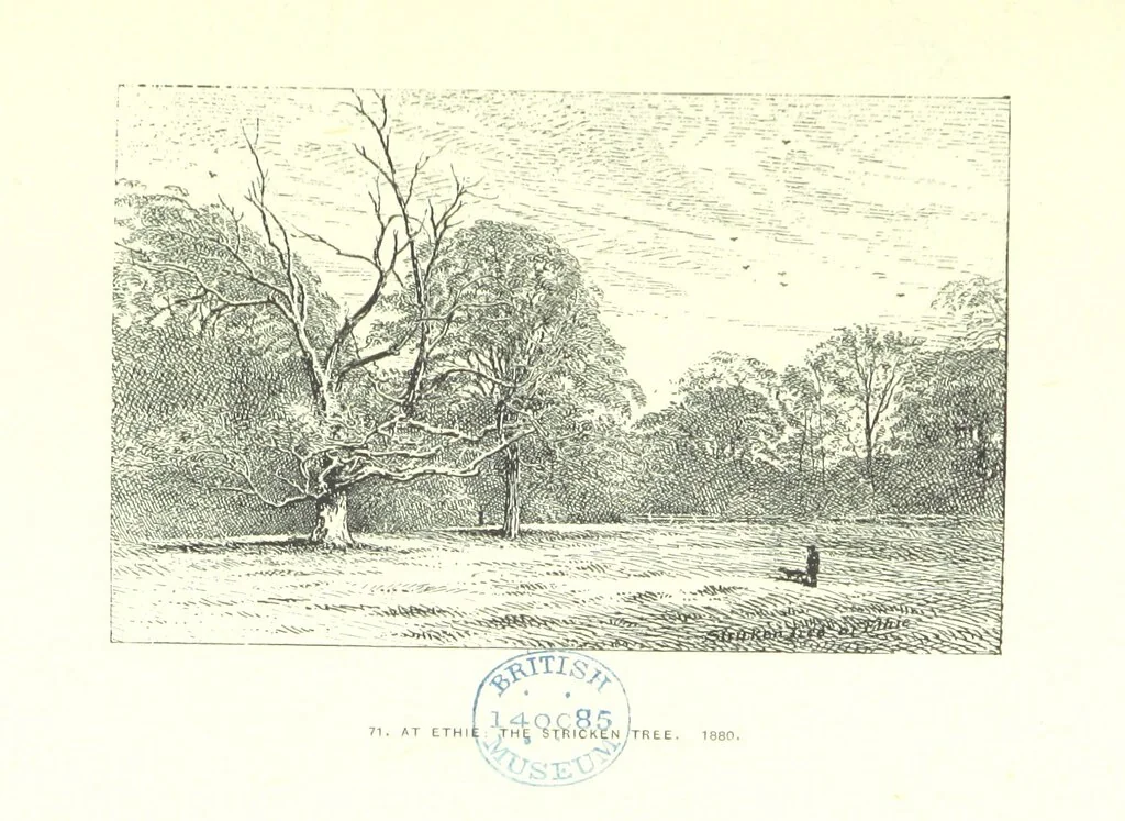 An illustration from Aberbrothock illustrated. Being the Round O etchings in miniature by John Adam. ... With ... notes by G. Hay, 1886, leaf 175