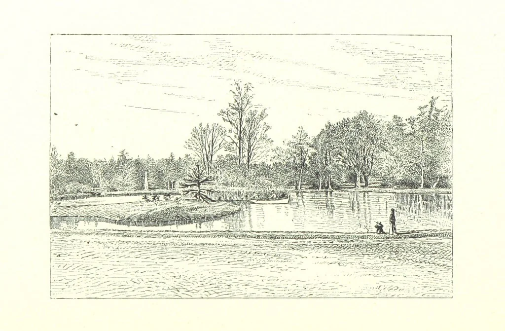 An illustration from Aberbrothock illustrated. Being the Round O etchings in miniature by John Adam. ... With ... notes by G. Hay, 1886, leaf 218
