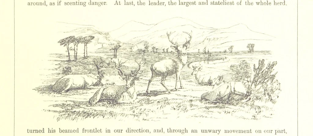 An illustration from The Scenery of the Dee, with pen and pencil. Illustrated by A. Gibb ..., further illustrated and described by J. M. H, 1884, leaf 109