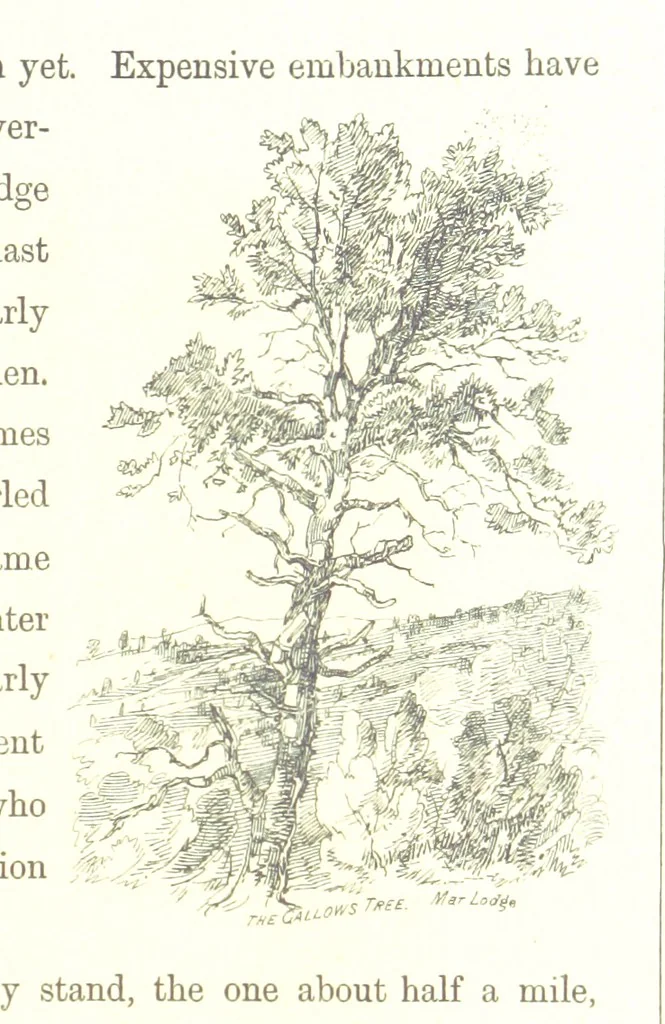 An illustration from The Scenery of the Dee, with pen and pencil. Illustrated by A. Gibb ..., further illustrated and described by J. M. H, 1884, leaf 141