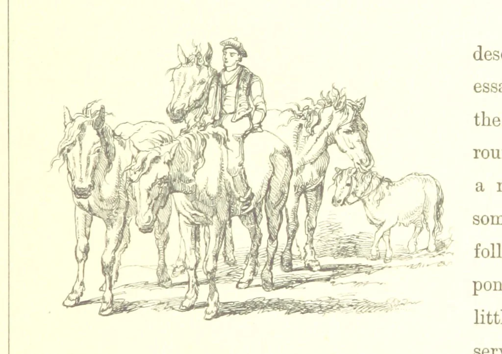 An illustration from The Scenery of the Dee, with pen and pencil. Illustrated by A. Gibb ..., further illustrated and described by J. M. H, 1884, leaf 151