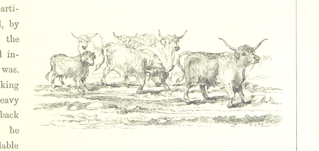 An illustration from The Scenery of the Dee, with pen and pencil. Illustrated by A. Gibb ..., further illustrated and described by J. M. H, 1884, leaf 151