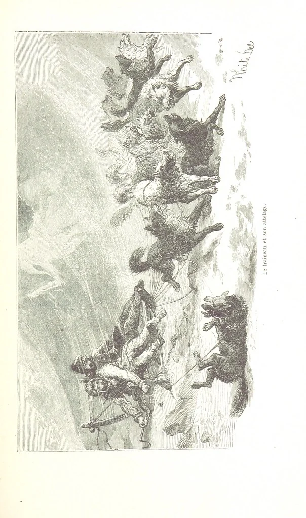 An illustration from La Mer Libre du Pole ... Traduit de l'Anglais et accompagné de notes ... par F. de Lanoye. Ouvrage illustré de 70 gravures, etc, 1868, leaf 139