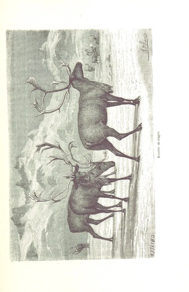 An illustration from La Mer Libre du Pole ... Traduit de l'Anglais et accompagné de notes ... par F. de Lanoye. Ouvrage illustré de 70 gravures, etc, 1868, leaf 149