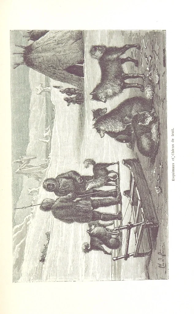 An illustration from La Mer Libre du Pole ... Traduit de l'Anglais et accompagné de notes ... par F. de Lanoye. Ouvrage illustré de 70 gravures, etc, 1868, leaf 159