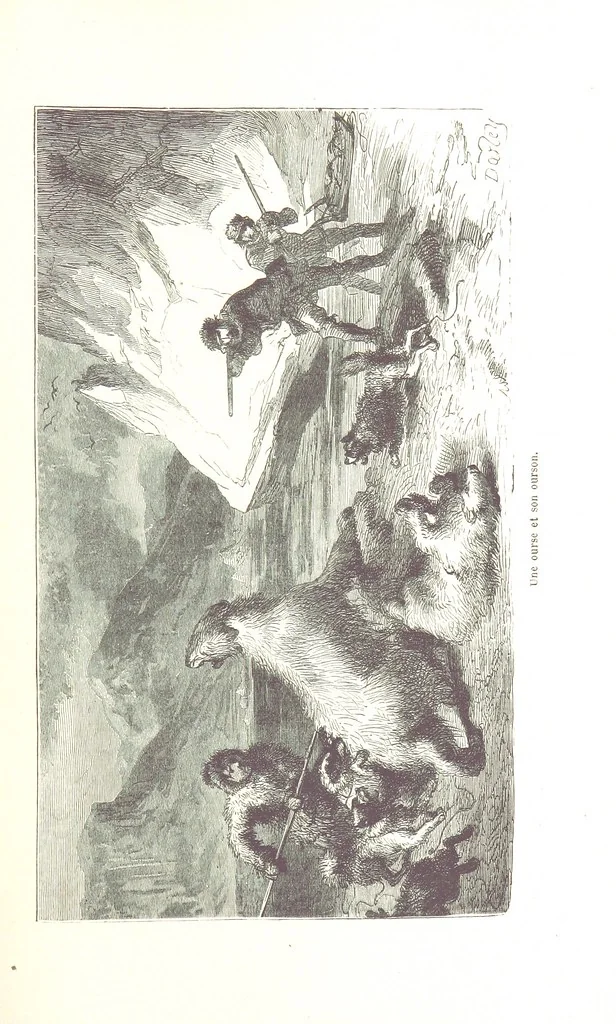 An illustration from La Mer Libre du Pole ... Traduit de l'Anglais et accompagné de notes ... par F. de Lanoye. Ouvrage illustré de 70 gravures, etc, 1868, leaf 211