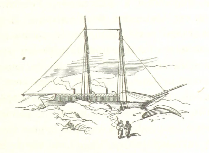 An illustration from La Mer Libre du Pole ... Traduit de l'Anglais et accompagné de notes ... par F. de Lanoye. Ouvrage illustré de 70 gravures, etc, 1868, leaf 263