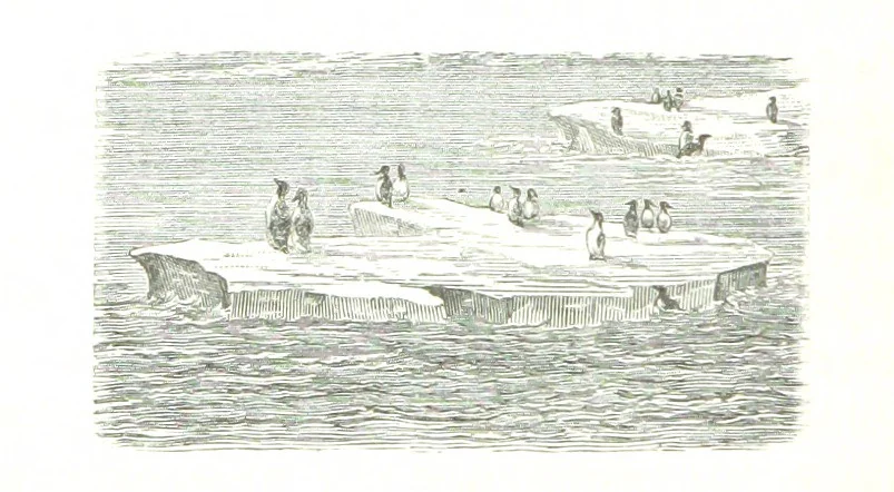 An illustration from La Mer Libre du Pole ... Traduit de l'Anglais et accompagné de notes ... par F. de Lanoye. Ouvrage illustré de 70 gravures, etc, 1868, leaf 288