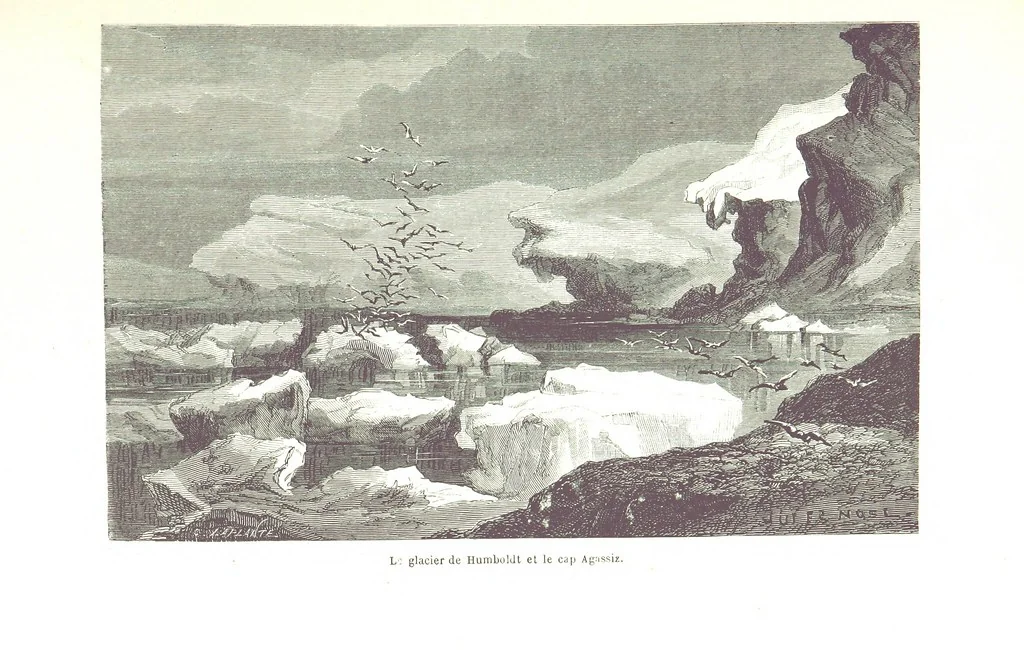 An illustration from La Mer Libre du Pole ... Traduit de l'Anglais et accompagné de notes ... par F. de Lanoye. Ouvrage illustré de 70 gravures, etc, 1868, leaf 325