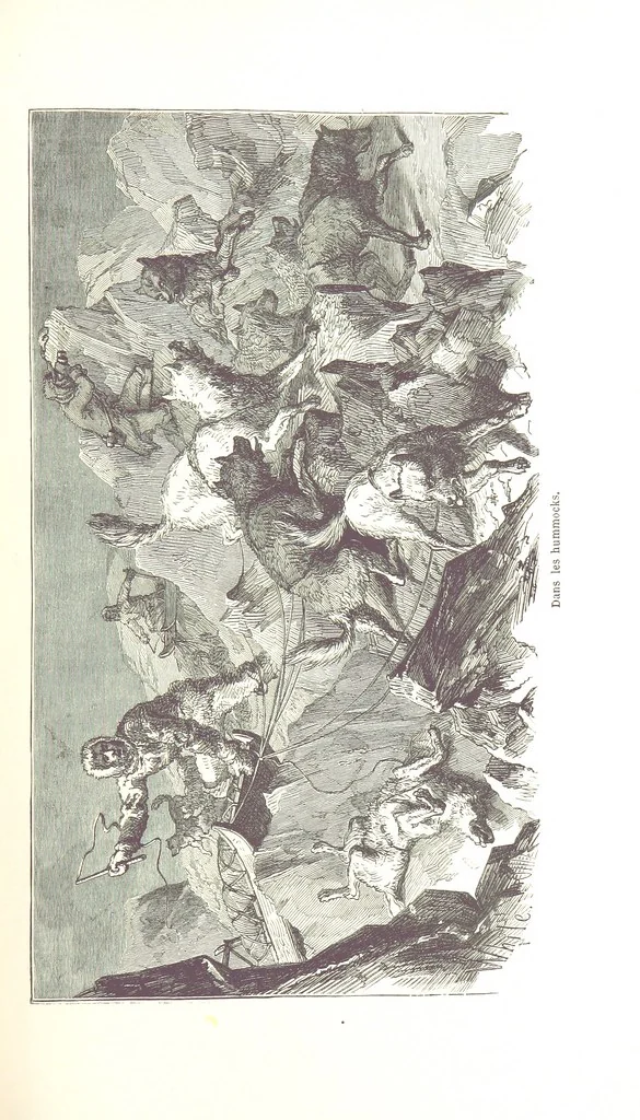 An illustration from La Mer Libre du Pole ... Traduit de l'Anglais et accompagné de notes ... par F. de Lanoye. Ouvrage illustré de 70 gravures, etc, 1868, leaf 349
