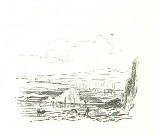 An illustration from La Mer Libre du Pole ... Traduit de l'Anglais et accompagné de notes ... par F. de Lanoye. Ouvrage illustré de 70 gravures, etc, 1868, leaf 420