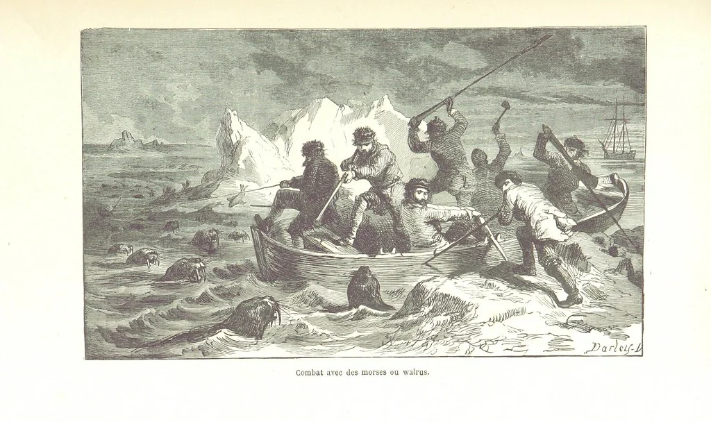 An illustration from La Mer Libre du Pole ... Traduit de l'Anglais et accompagné de notes ... par F. de Lanoye. Ouvrage illustré de 70 gravures, etc, 1868, leaf 457