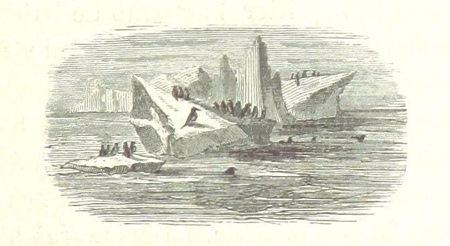 An illustration from La Mer Libre du Pole ... Traduit de l'Anglais et accompagné de notes ... par F. de Lanoye. Ouvrage illustré de 70 gravures, etc, 1868, leaf 465