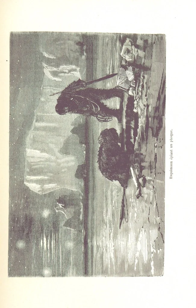An illustration from La Mer Libre du Pole ... Traduit de l'Anglais et accompagné de notes ... par F. de Lanoye. Ouvrage illustré de 70 gravures, etc, 1868, leaf 467