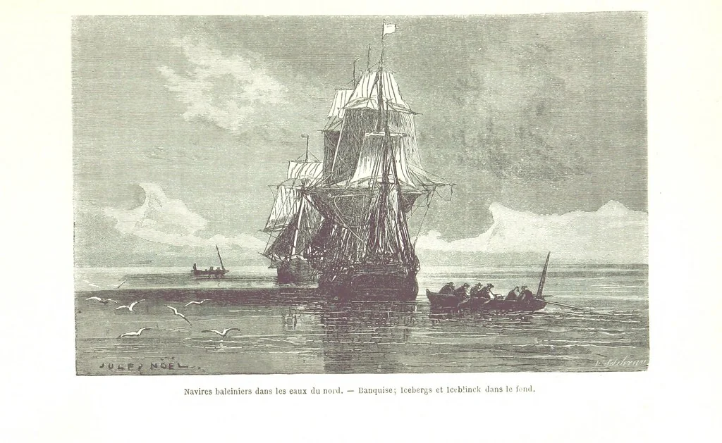 An illustration from La Mer Libre du Pole ... Traduit de l'Anglais et accompagné de notes ... par F. de Lanoye. Ouvrage illustré de 70 gravures, etc, 1868, leaf 85