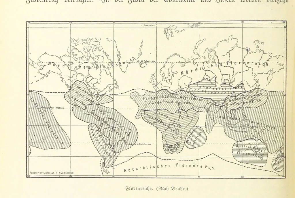 An illustration from Die Erde. Eine allgemeine Erd- und Länderkunde, etc, 1896, leaf 156