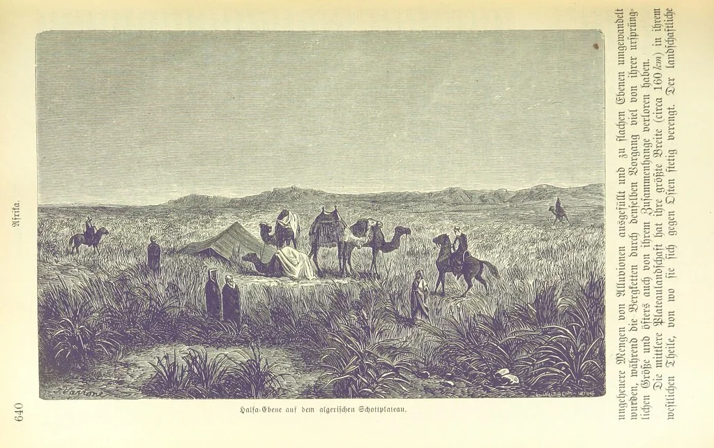 An illustration from Die Erde. Eine allgemeine Erd- und Länderkunde, etc, 1896, leaf 714