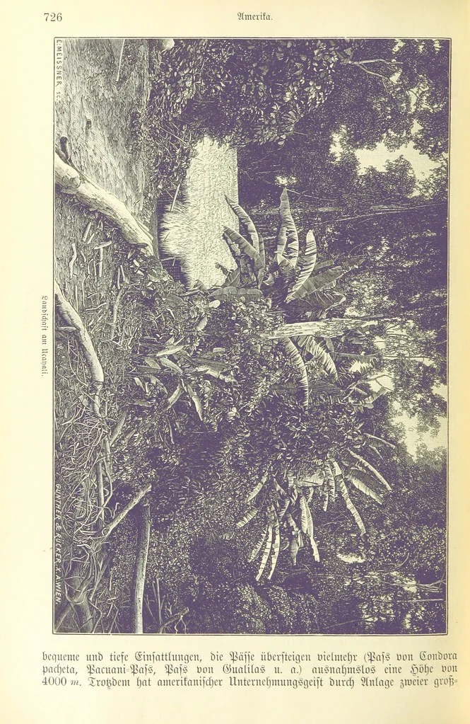 An illustration from Die Erde. Eine allgemeine Erd- und Länderkunde, etc, 1896, leaf 808