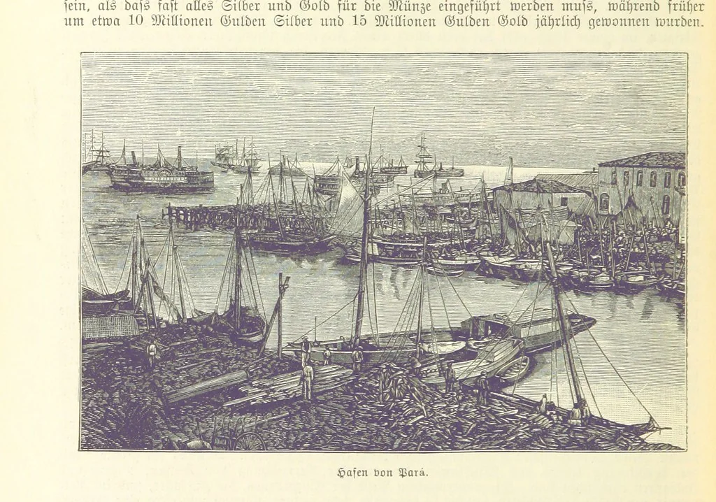 An illustration from Die Erde. Eine allgemeine Erd- und Länderkunde, etc, 1896, leaf 890