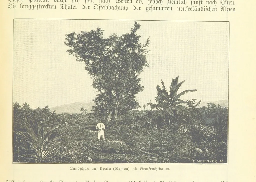 An illustration from Die Erde. Eine allgemeine Erd- und Länderkunde, etc, 1896, leaf 919