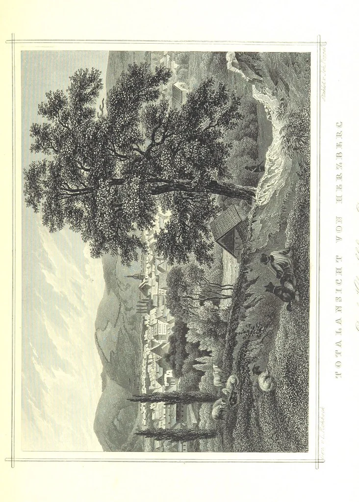 An illustration from Das Königreich Hannover und das Herzogthum Braunschweig dargestellt in malerischen Original-Ansichten ihrer interessantesten Gegenden ... von verschiedenen Künstlern. Historisch und topographisch beschrieben von O. v. H, 1857, leaf 189