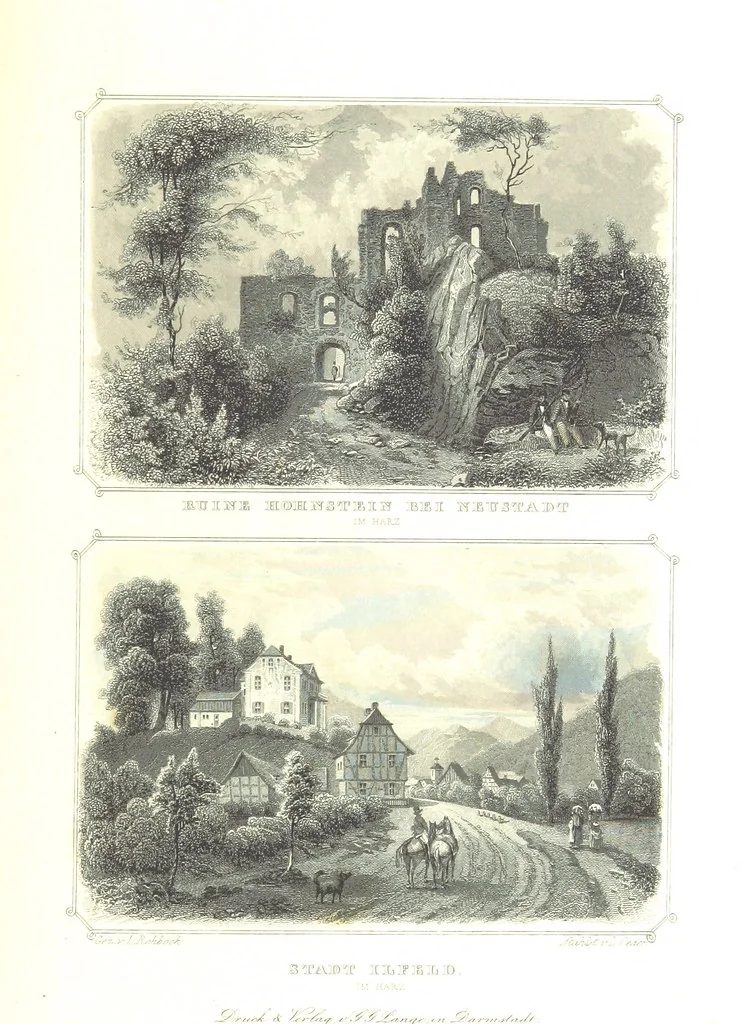 An illustration from Das Königreich Hannover und das Herzogthum Braunschweig dargestellt in malerischen Original-Ansichten ihrer interessantesten Gegenden ... von verschiedenen Künstlern. Historisch und topographisch beschrieben von O. v. H, 1857, leaf 207
