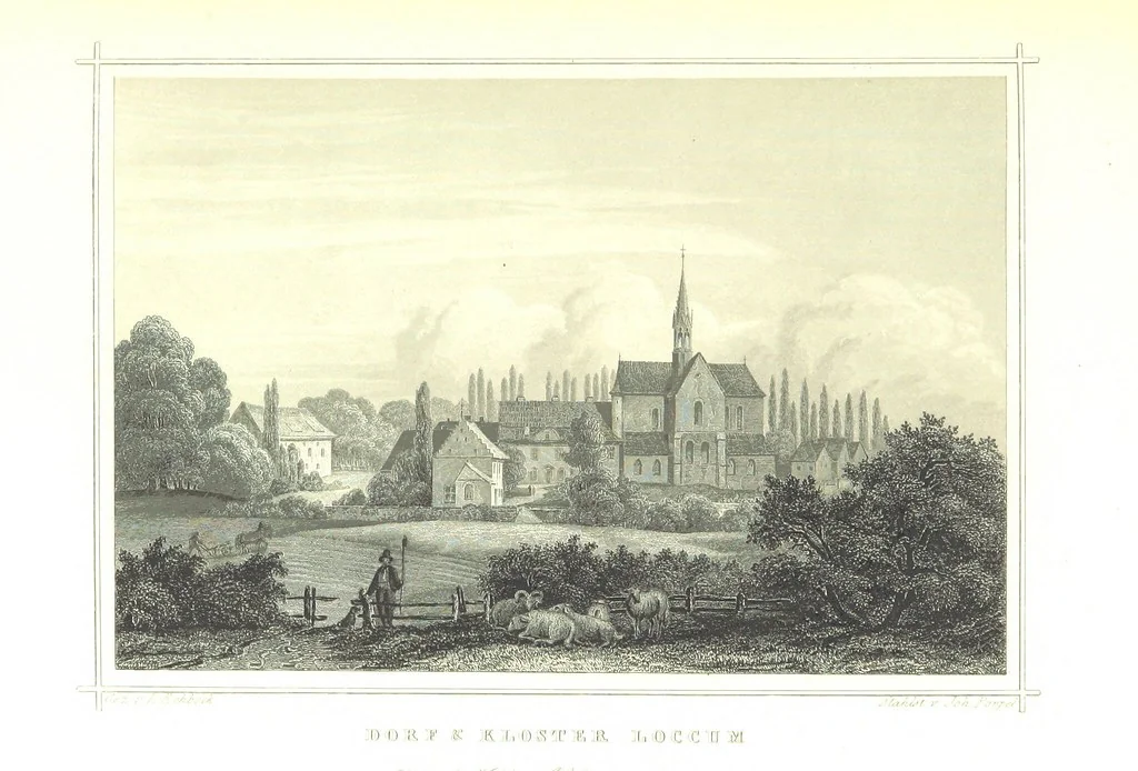 An illustration from Das Königreich Hannover und das Herzogthum Braunschweig dargestellt in malerischen Original-Ansichten ihrer interessantesten Gegenden ... von verschiedenen Künstlern. Historisch und topographisch beschrieben von O. v. H, 1857, leaf 223