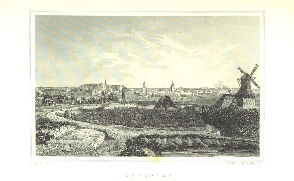 An illustration from Das Königreich Hannover und das Herzogthum Braunschweig dargestellt in malerischen Original-Ansichten ihrer interessantesten Gegenden ... von verschiedenen Künstlern. Historisch und topographisch beschrieben von O. v. H, 1857, leaf 231