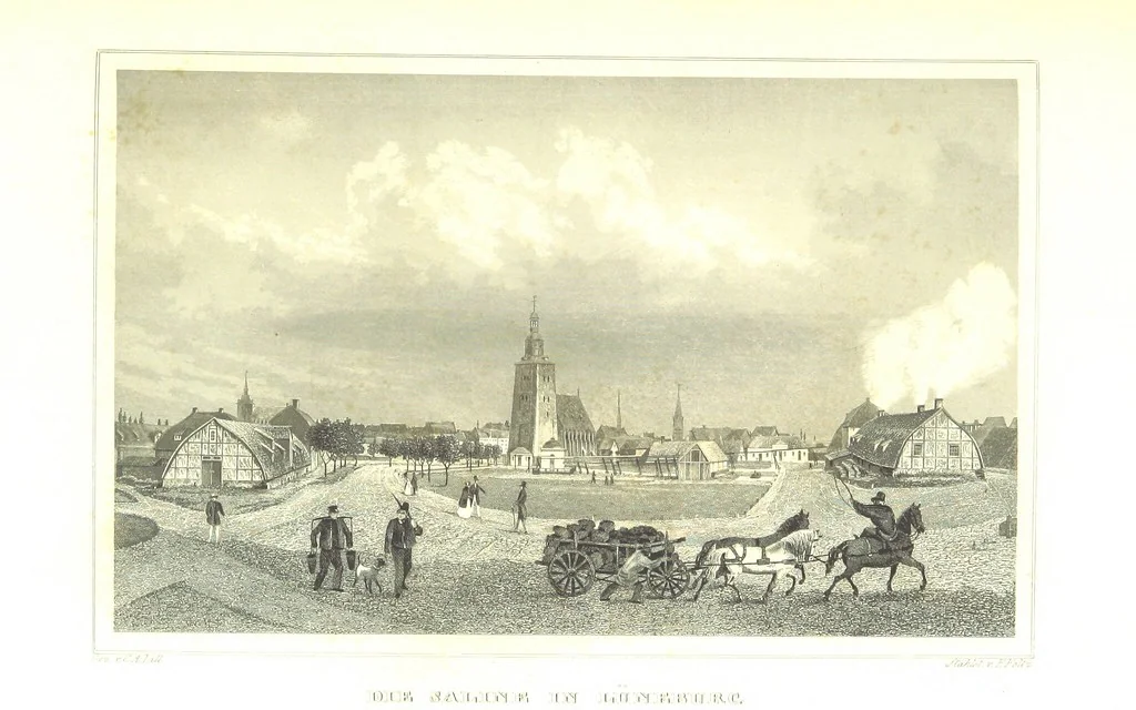 An illustration from Das Königreich Hannover und das Herzogthum Braunschweig dargestellt in malerischen Original-Ansichten ihrer interessantesten Gegenden ... von verschiedenen Künstlern. Historisch und topographisch beschrieben von O. v. H, 1857, leaf 241