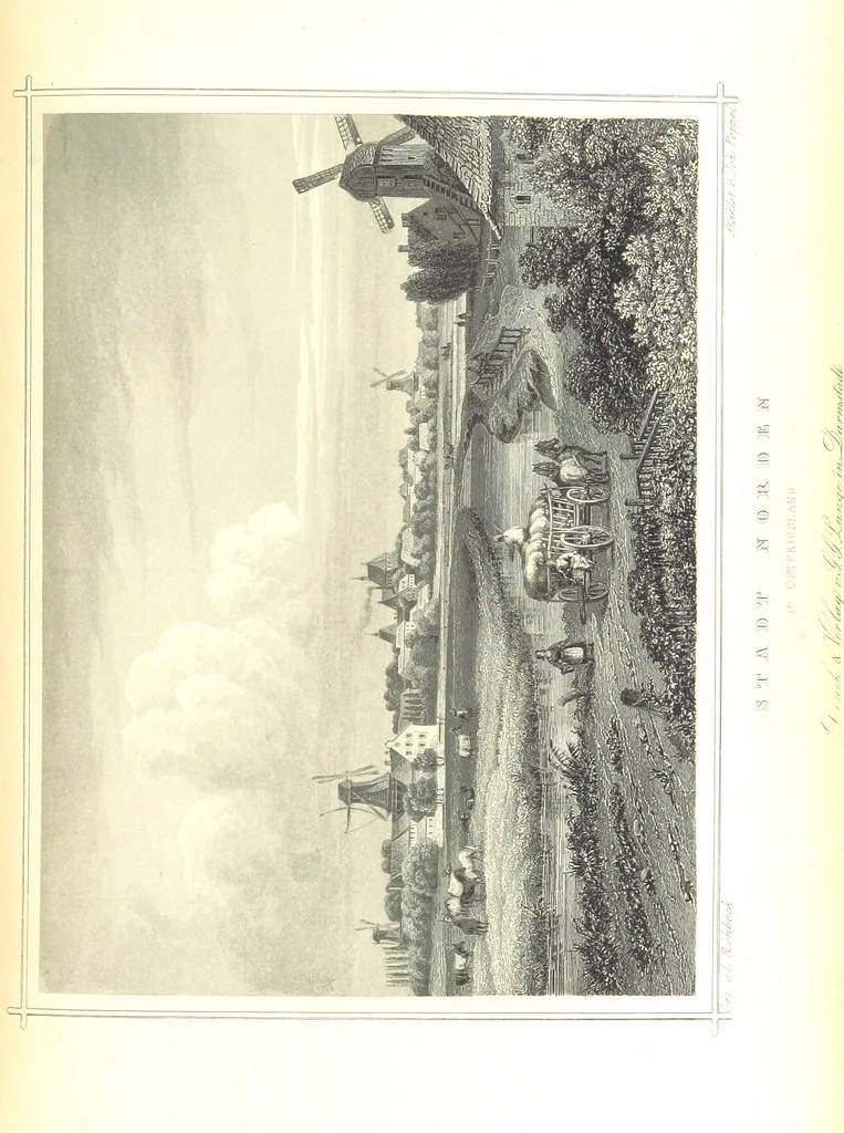 An illustration from Das Königreich Hannover und das Herzogthum Braunschweig dargestellt in malerischen Original-Ansichten ihrer interessantesten Gegenden ... von verschiedenen Künstlern. Historisch und topographisch beschrieben von O. v. H, 1857, leaf 257