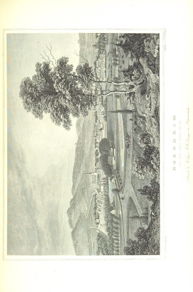 An illustration from Das Königreich Hannover und das Herzogthum Braunschweig dargestellt in malerischen Original-Ansichten ihrer interessantesten Gegenden ... von verschiedenen Künstlern. Historisch und topographisch beschrieben von O. v. H, 1857, leaf 267