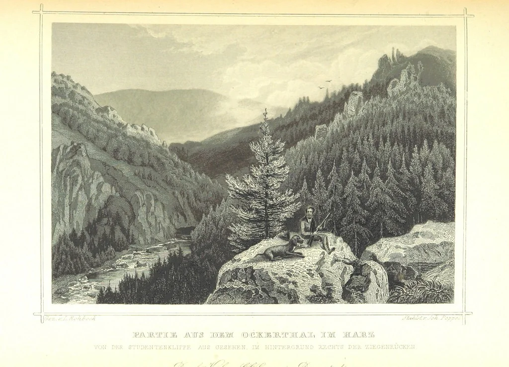 An illustration from Das Königreich Hannover und das Herzogthum Braunschweig dargestellt in malerischen Original-Ansichten ihrer interessantesten Gegenden ... von verschiedenen Künstlern. Historisch und topographisch beschrieben von O. v. H, 1857, leaf 273