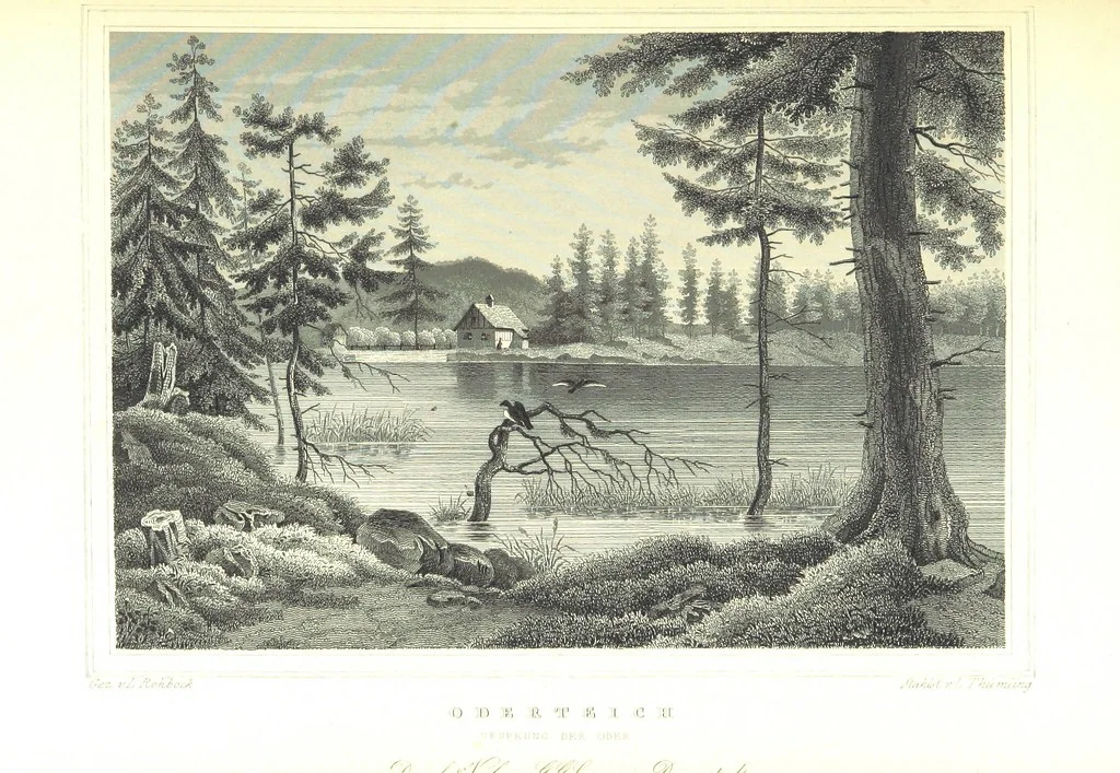 An illustration from Das Königreich Hannover und das Herzogthum Braunschweig dargestellt in malerischen Original-Ansichten ihrer interessantesten Gegenden ... von verschiedenen Künstlern. Historisch und topographisch beschrieben von O. v. H, 1857, leaf 275