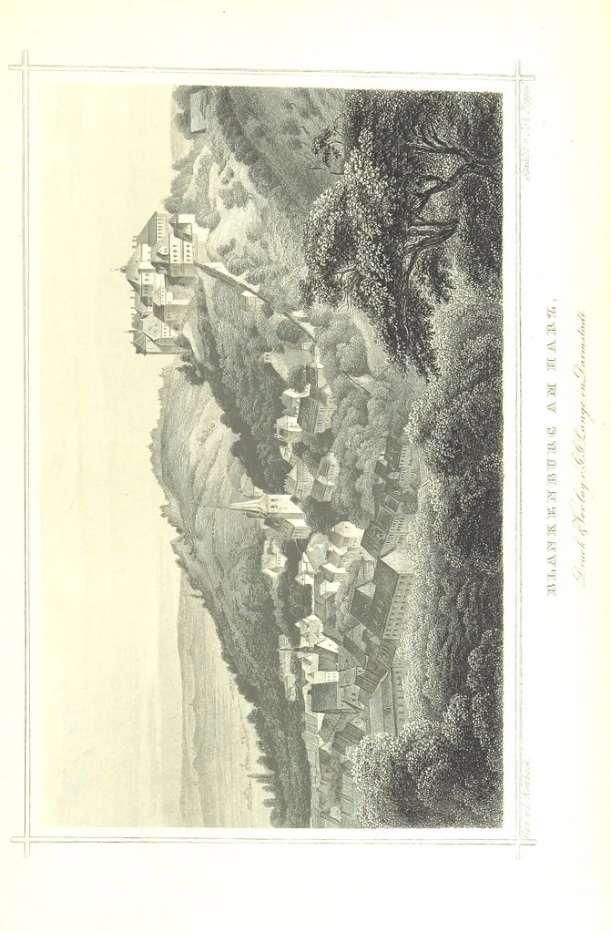 An illustration from Das Königreich Hannover und das Herzogthum Braunschweig dargestellt in malerischen Original-Ansichten ihrer interessantesten Gegenden ... von verschiedenen Künstlern. Historisch und topographisch beschrieben von O. v. H, 1857, leaf 29