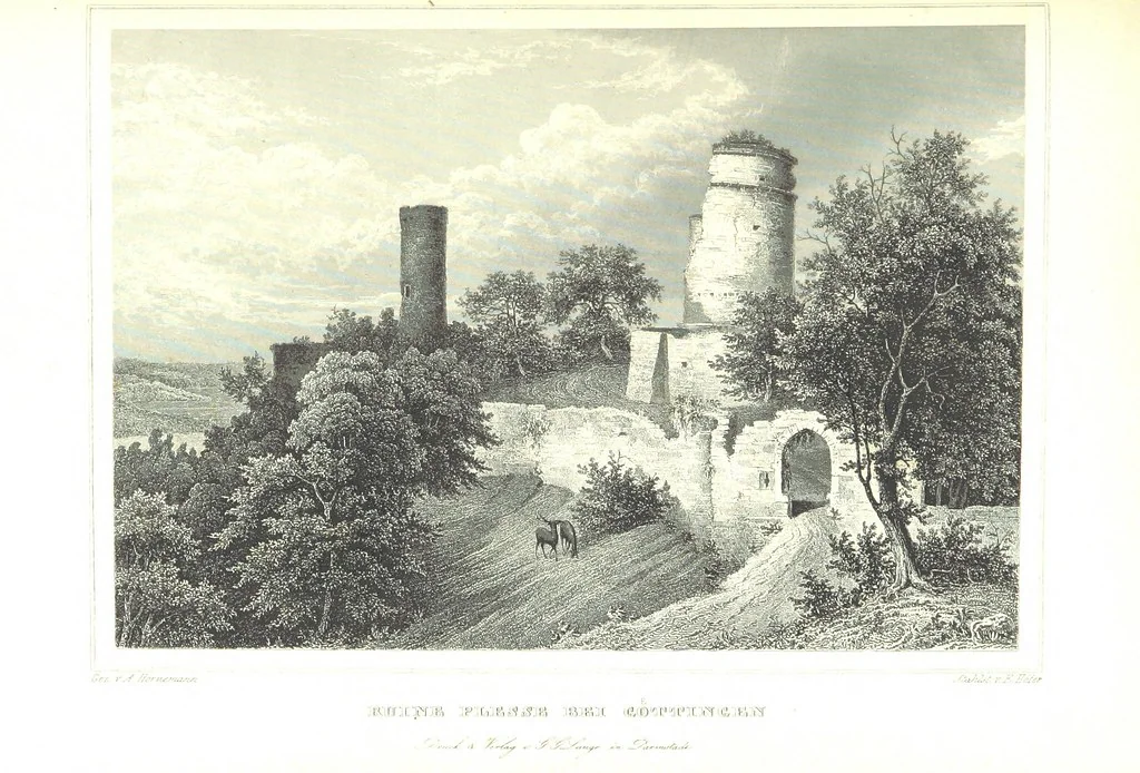 An illustration from Das Königreich Hannover und das Herzogthum Braunschweig dargestellt in malerischen Original-Ansichten ihrer interessantesten Gegenden ... von verschiedenen Künstlern. Historisch und topographisch beschrieben von O. v. H, 1857, leaf 309