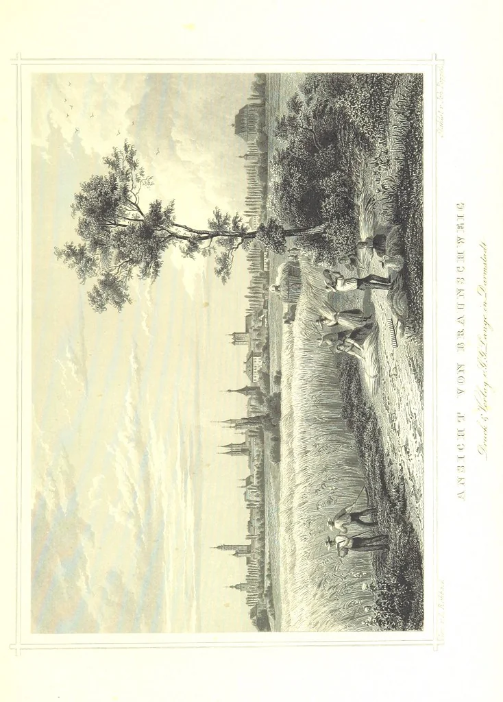An illustration from Das Königreich Hannover und das Herzogthum Braunschweig dargestellt in malerischen Original-Ansichten ihrer interessantesten Gegenden ... von verschiedenen Künstlern. Historisch und topographisch beschrieben von O. v. H, 1857, leaf 31