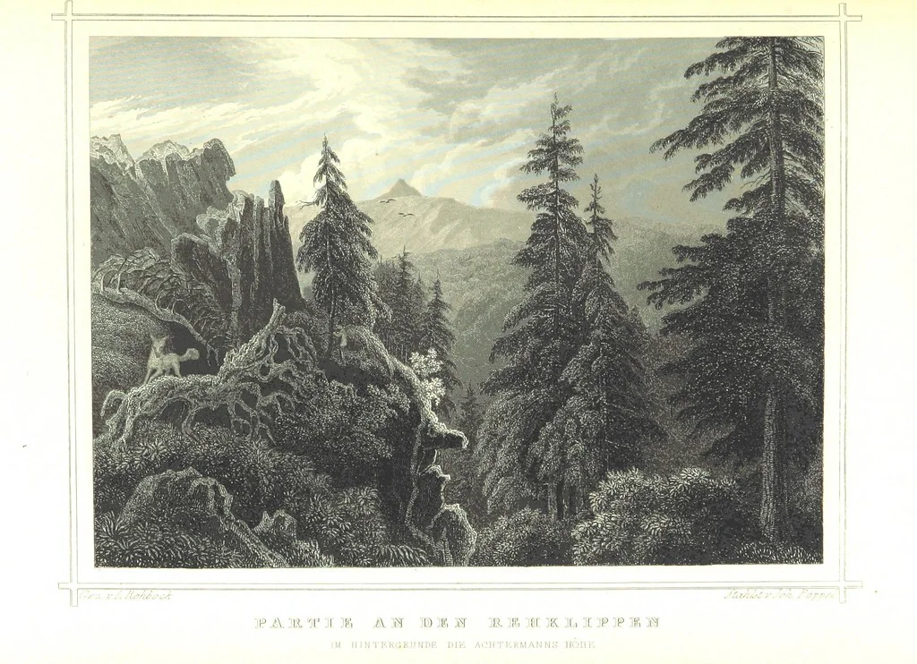 An illustration from Das Königreich Hannover und das Herzogthum Braunschweig dargestellt in malerischen Original-Ansichten ihrer interessantesten Gegenden ... von verschiedenen Künstlern. Historisch und topographisch beschrieben von O. v. H, 1857, leaf 315