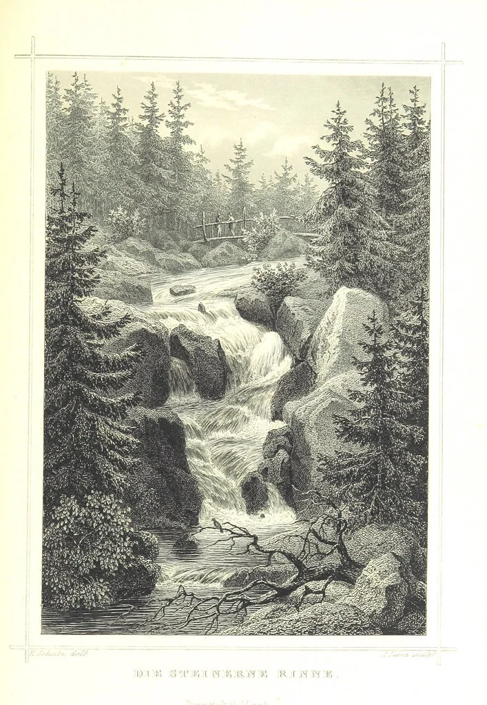 An illustration from Das Königreich Hannover und das Herzogthum Braunschweig dargestellt in malerischen Original-Ansichten ihrer interessantesten Gegenden ... von verschiedenen Künstlern. Historisch und topographisch beschrieben von O. v. H, 1857, leaf 335